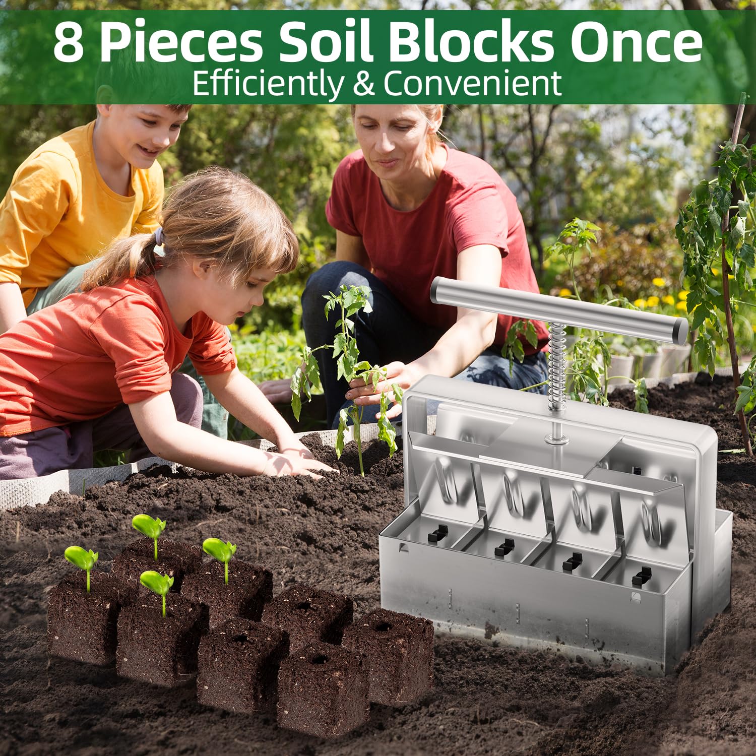 zukakii soil blocks prepared with damp soil ready for transplant