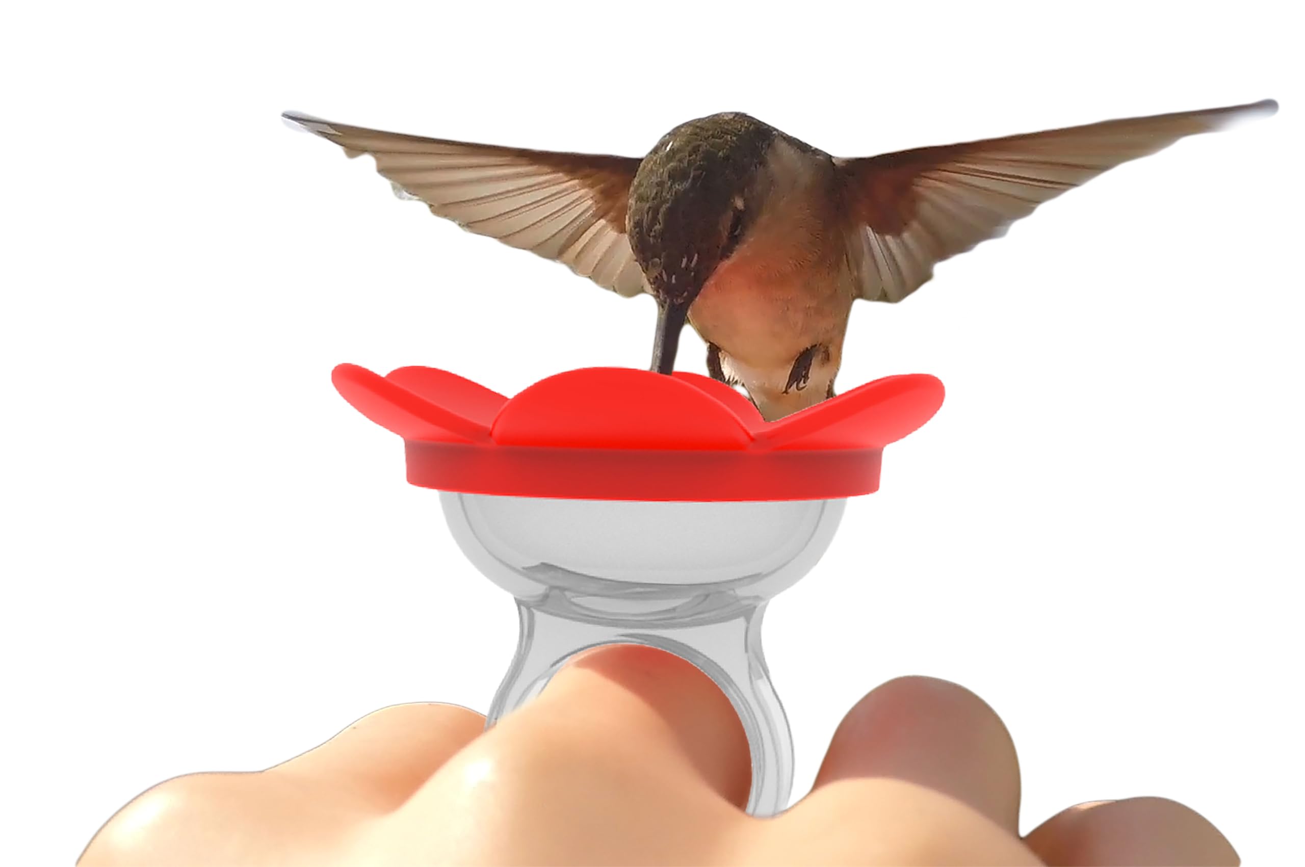 ZUMMR Hummingbird Ring Feeder red on finger for intimate backyard feeding.