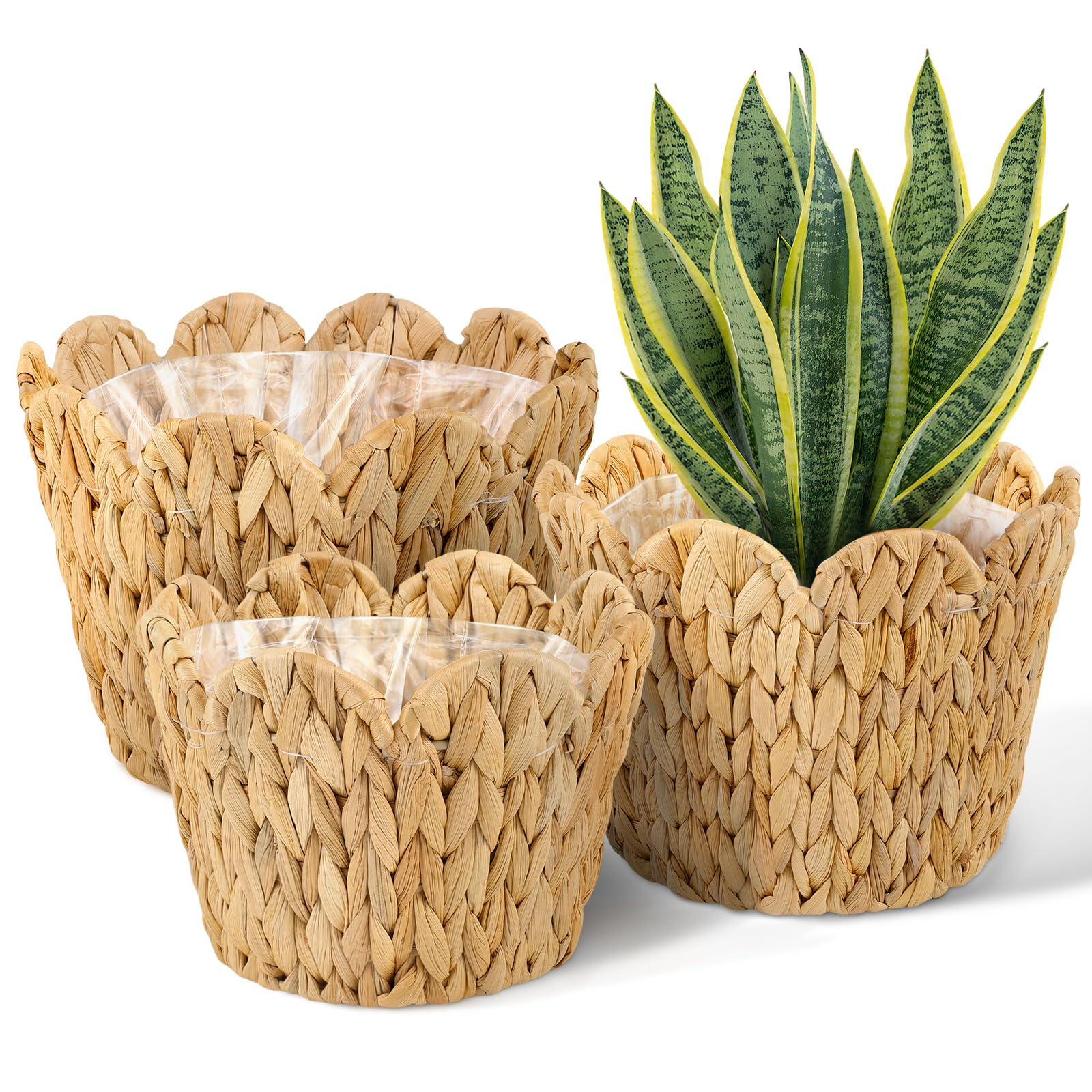 ZUNKNOD 10.2-inch wicker basket with scalloped edge for elegant indoor plant display.