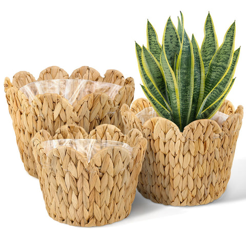 ZUNKNOD 10.2-inch wicker basket with scalloped edge for elegant indoor plant display.