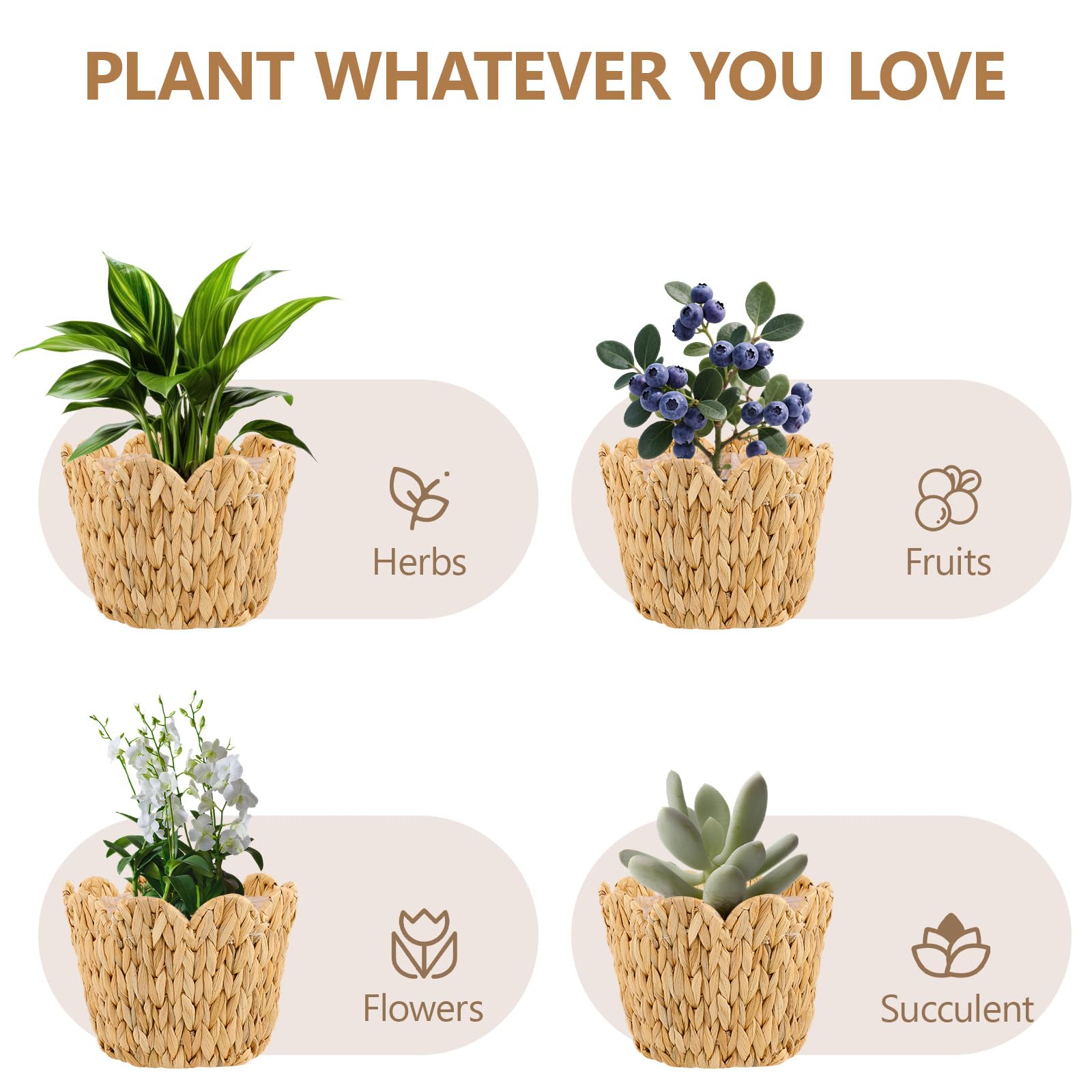 ZUNKNOD scalloped edge detail adds decorative plant container charm.