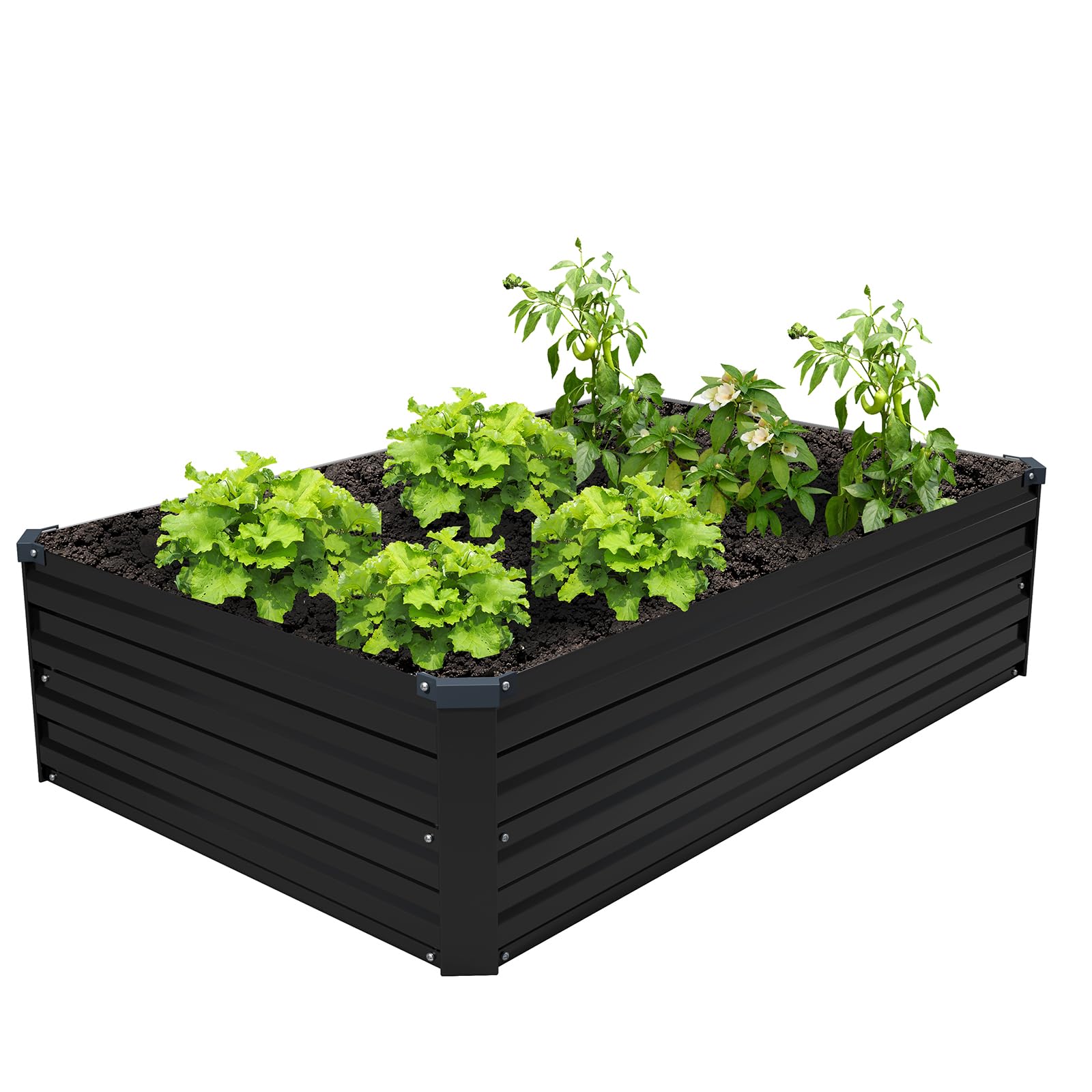 ZUNUDA ready-to-plant setup for vegetables, flowers, and herbs.