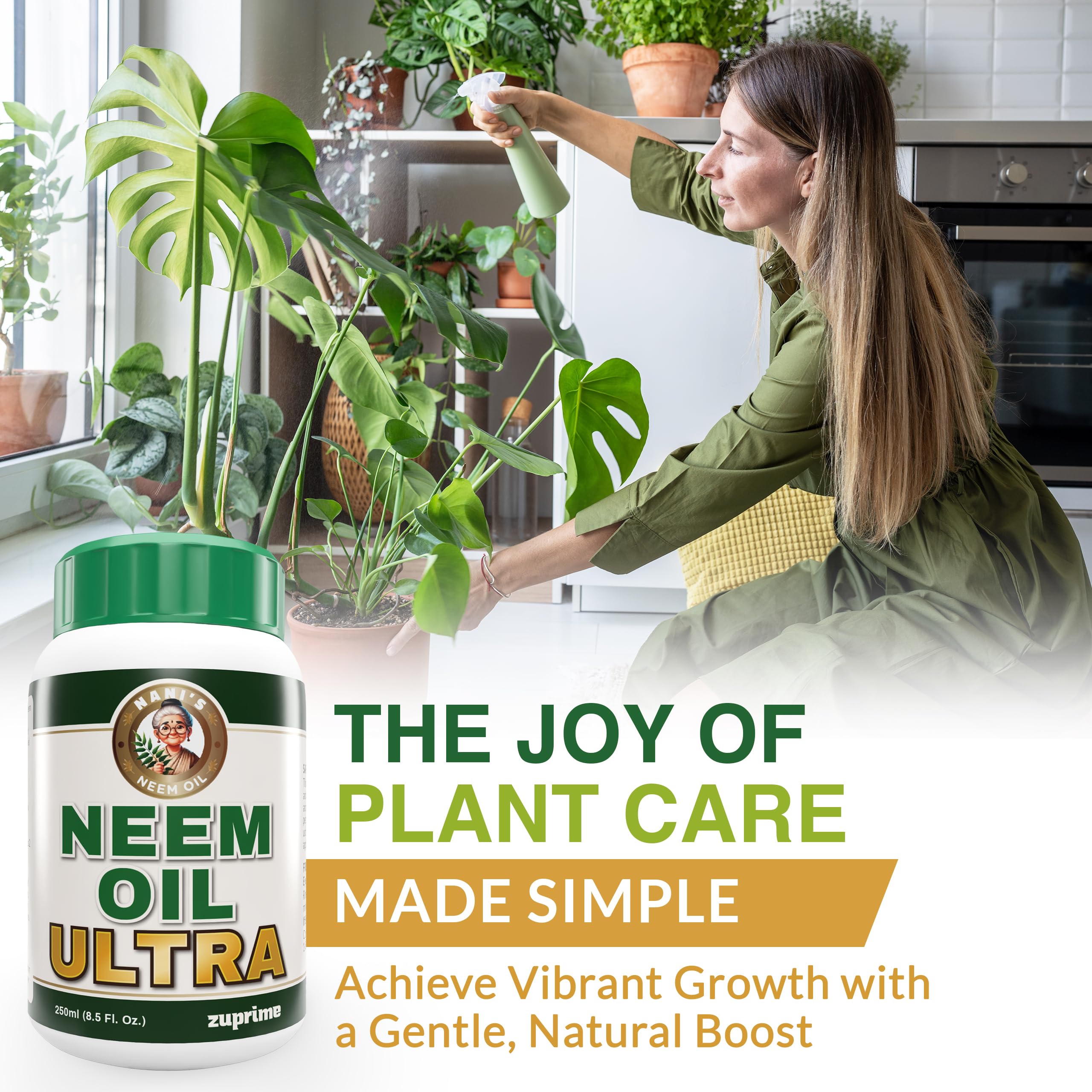 Indoor plant scene with lush greens using neem spray