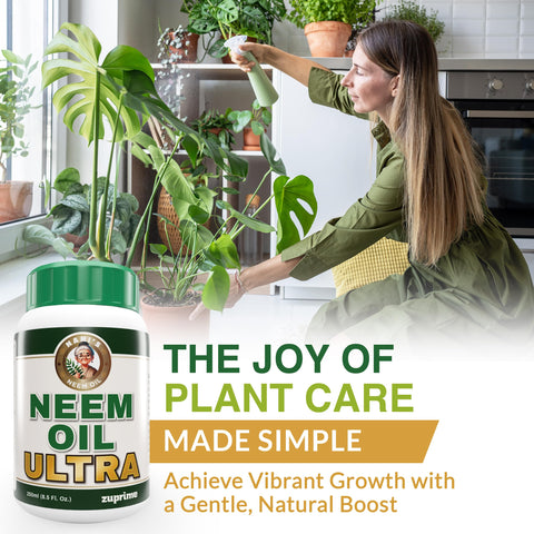 Indoor plant scene with lush greens using neem spray