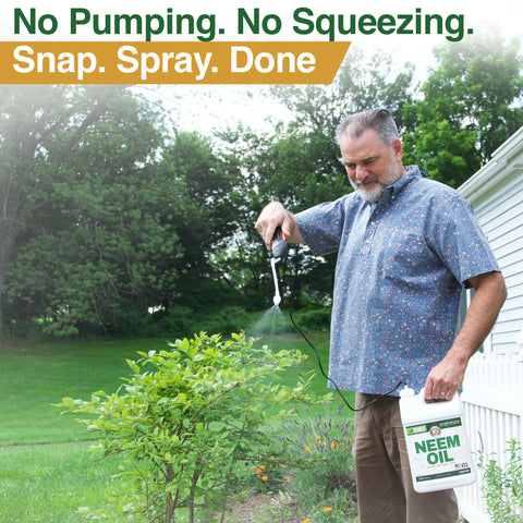 Zuprime Neem Oil Spray used on indoor plants for lush, healthy foliage.
