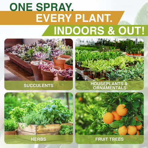 Zuprime Neem Oil Spray safe, gentle application minimizes leaf burn.