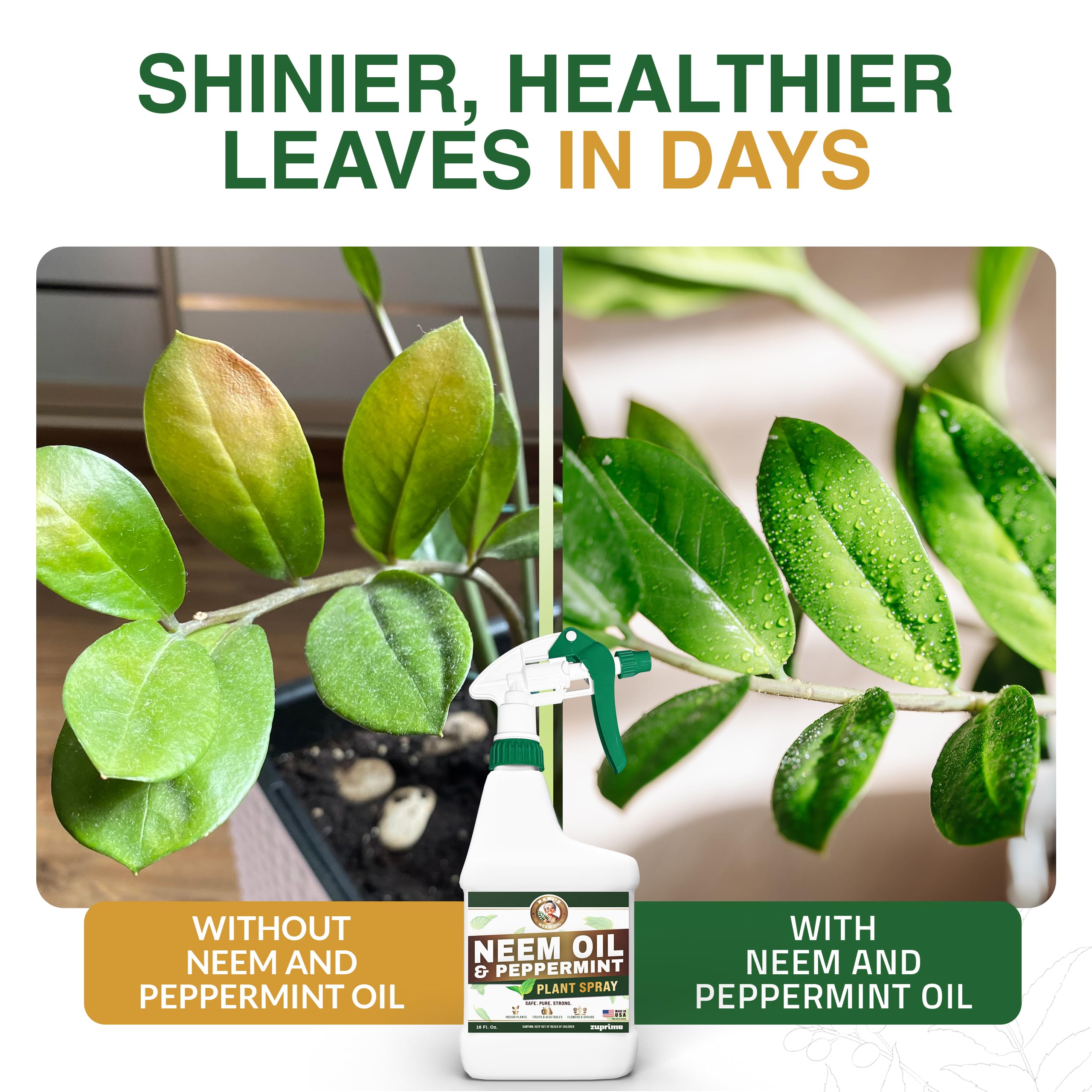 Indoor plants receive Zuprime Nani neem peppermint spray mist