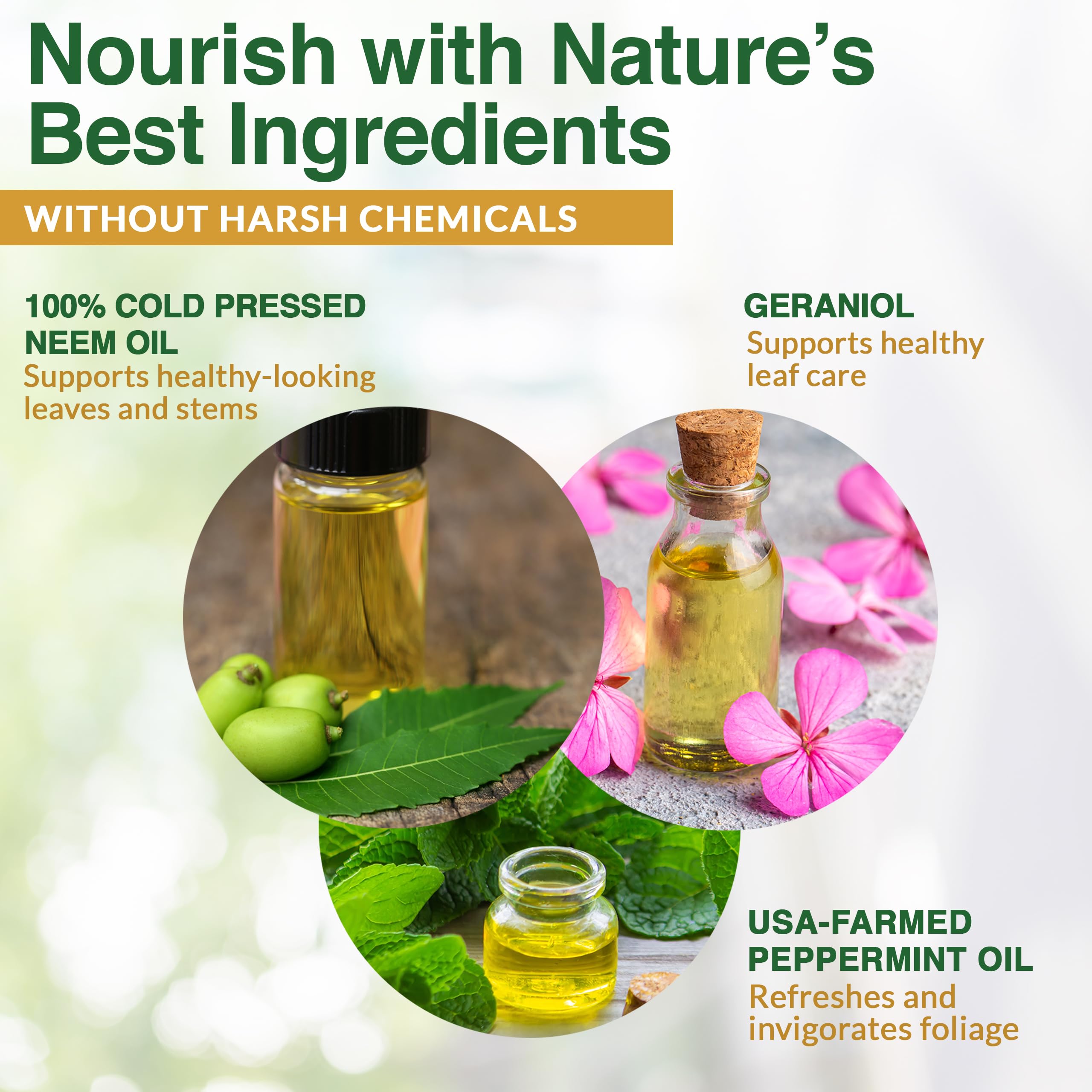 Zuprime Nani neem peppermint spray leaves appear glossy after application