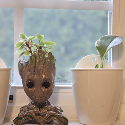 ZUSONUD Groot gift idea for plant lovers and desk decor fans