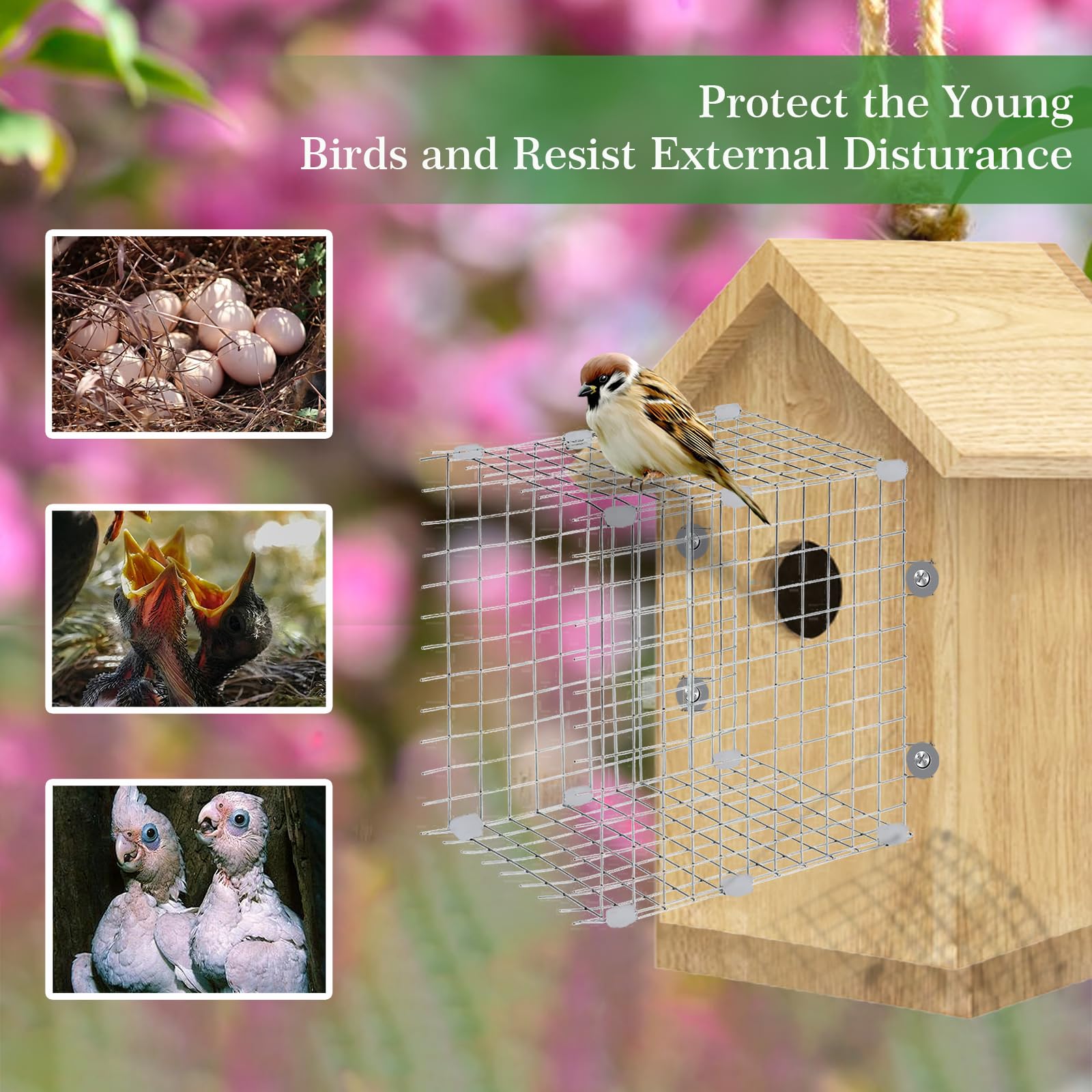 ZUUDYSEN two-pack guards fit standard birdhouses and deter predators.