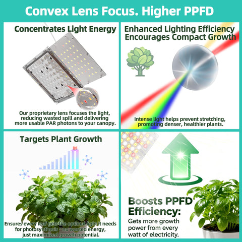 zwveuvs convex lens high-ppfd spotlight for deep light penetration
