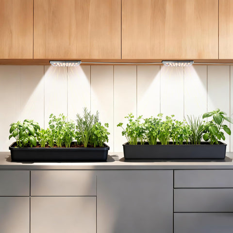 zwveuvs dual head LED grow light over shelf delivering full spectrum for thriving indoor plants