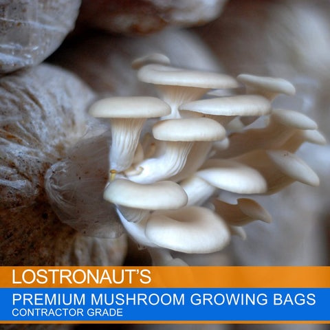 Zwxt mushroom bags size 8x5x20 suited for versatile strain setups.