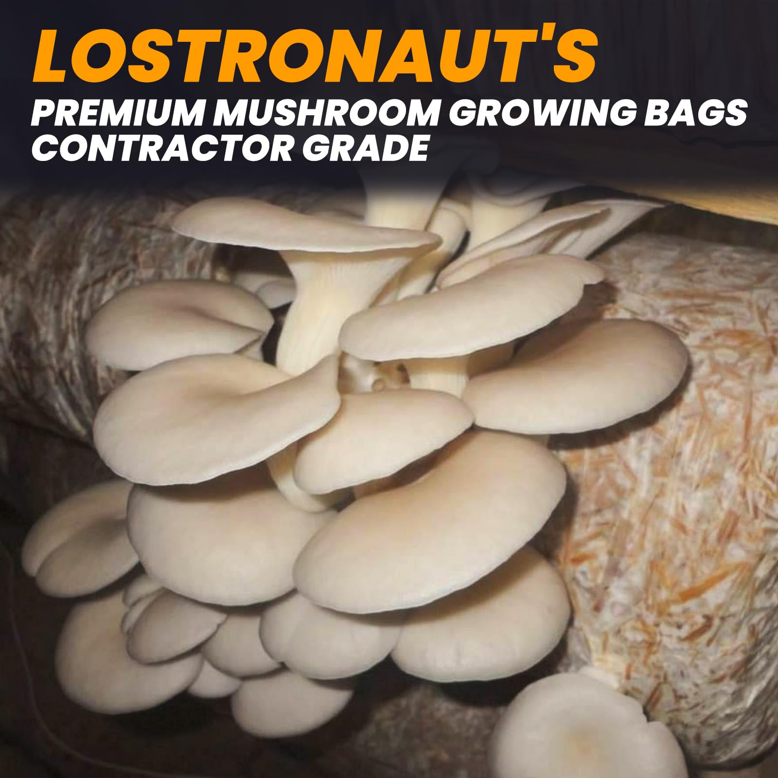 ZWXT complete mushroom growing kit image demonstrates ready-to-use setup.