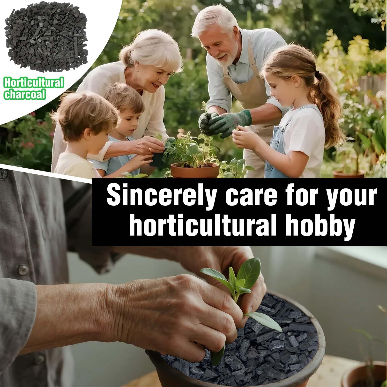 ZXFUTURE orchid-bonsai-terrarium use charcoal improves drainage and root health