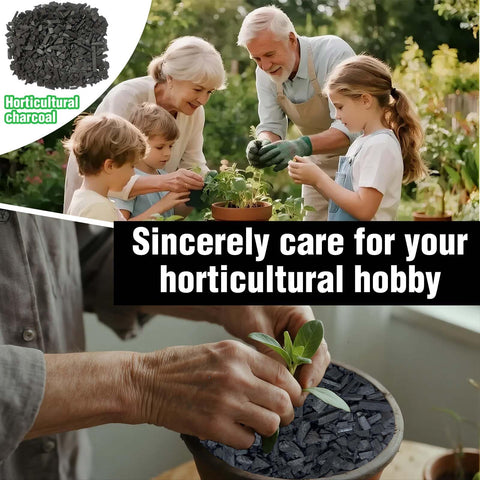 ZXFUTURE orchid-bonsai-terrarium use charcoal improves drainage and root health