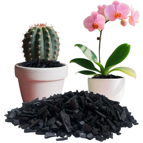 ZXFUTURE temperature-control charcoal stabilizes soil temperature for seedlings