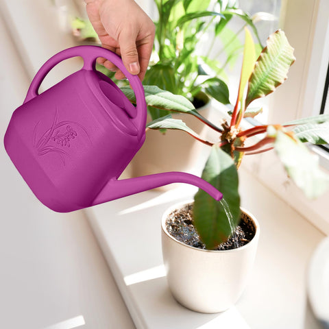 ZXJ watering can blends practicality and design for everyday plant care.