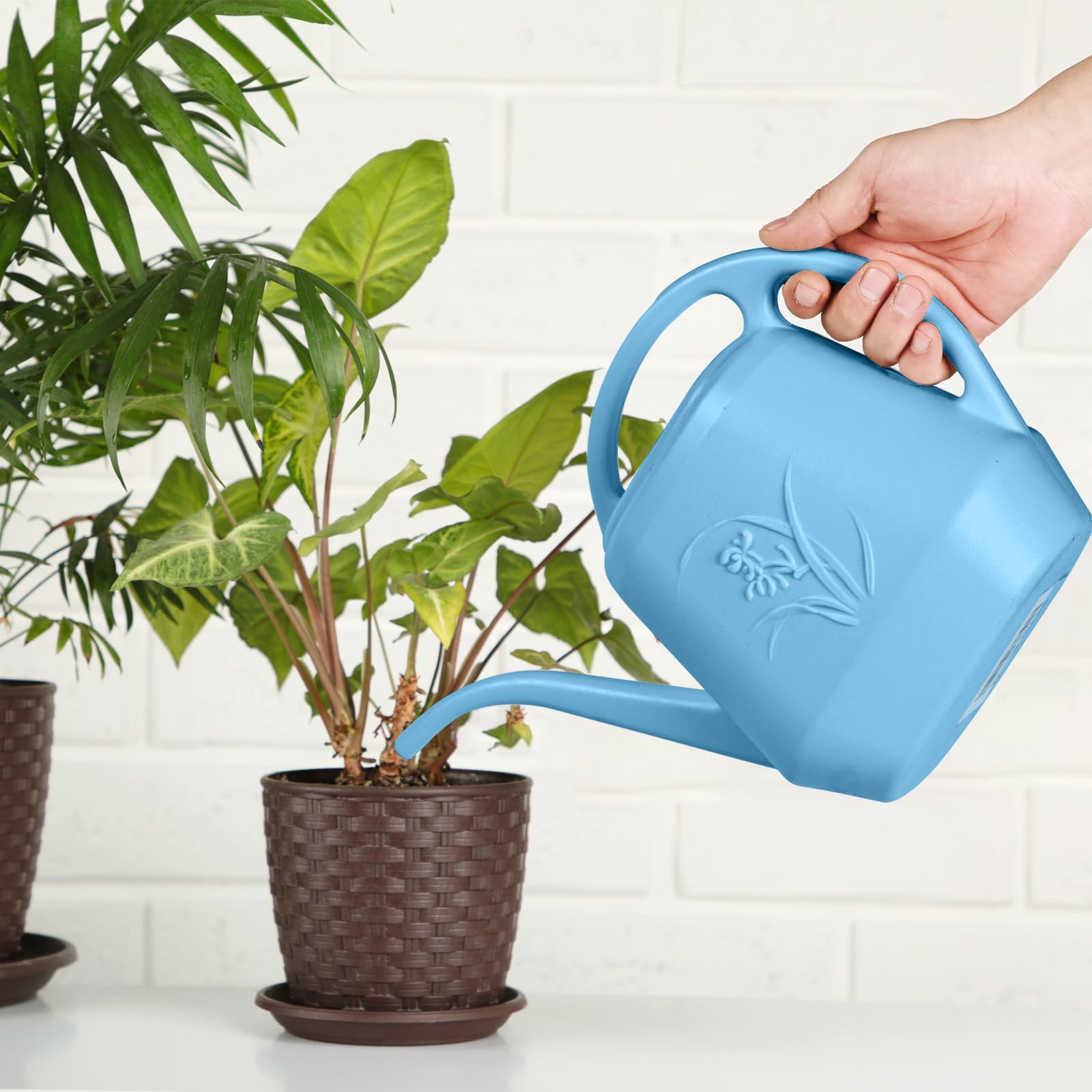 ZXJ Skye Blue can in outdoor garden setup during watering.