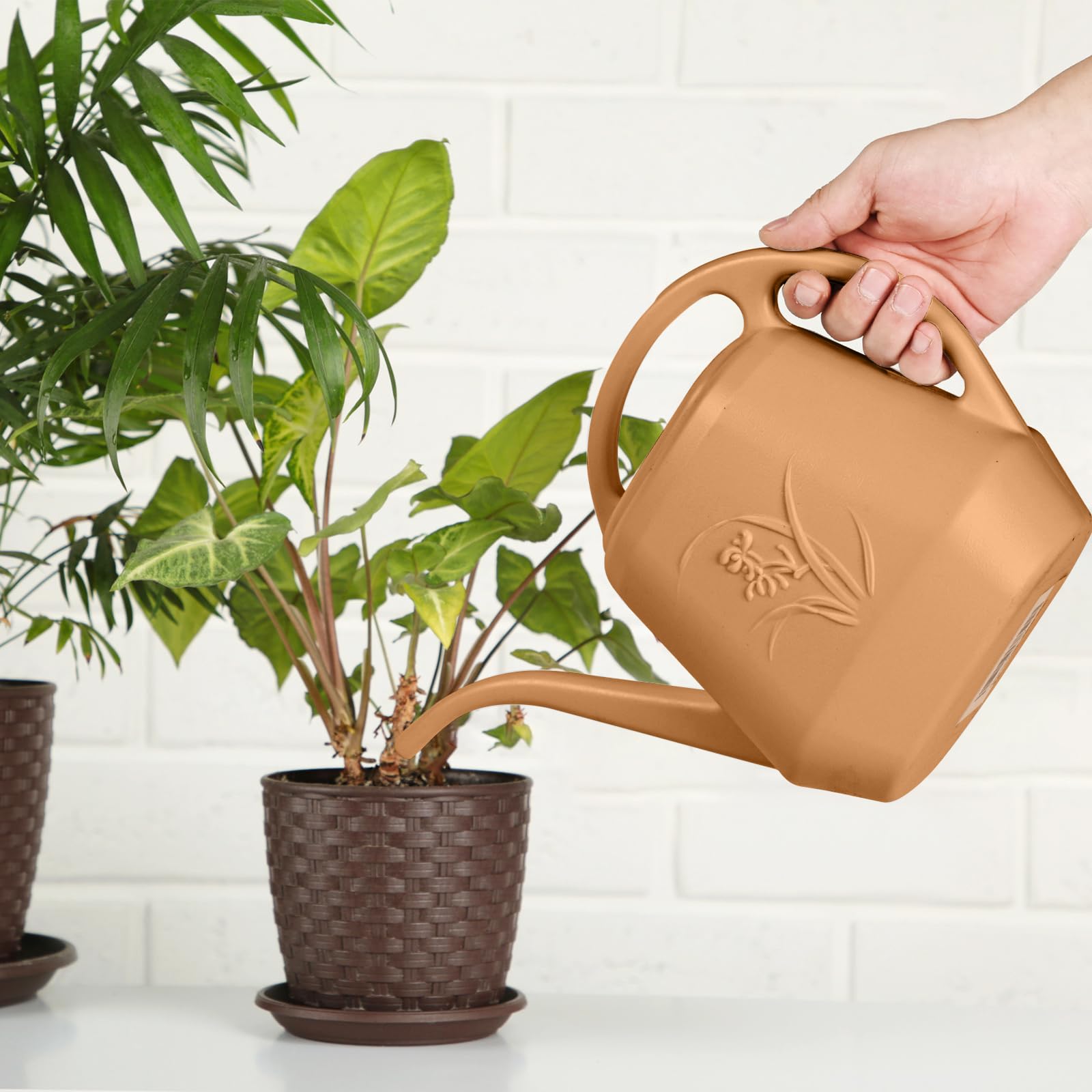 ZXJ Strength Plant Watering Can ideal for indoor and outdoor use