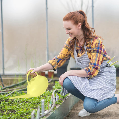 ZXJ yellow design adds cheerful decor to home gardens.
