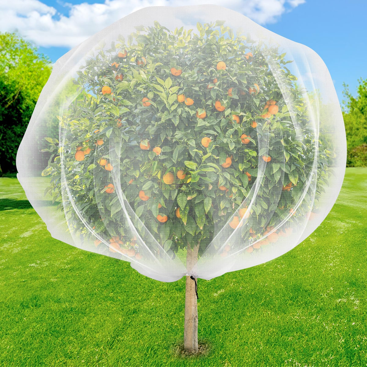 ZYP Fruit Tree Netting with drawstring around trunk for tight protection and pest control.