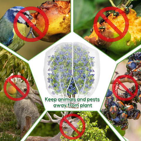 ZYP 4x5ft cover fits fruit trees, shrubs, and flowering plants securely.