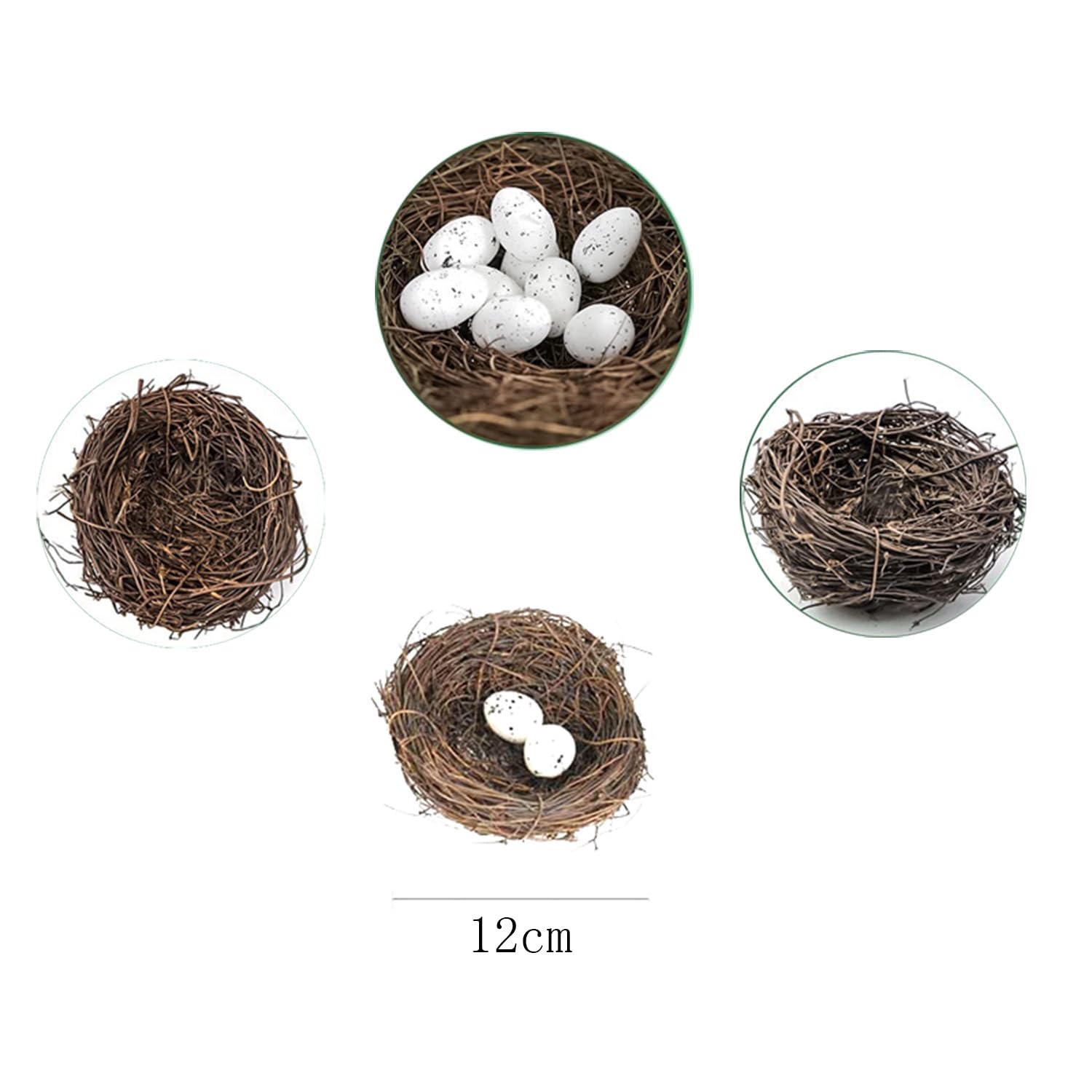 ZYAMY nest for succulent planters and DIY craft projects.