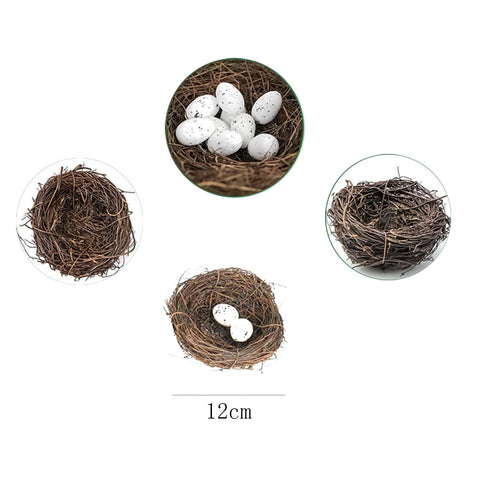 ZYAMY nest for succulent planters and DIY craft projects.