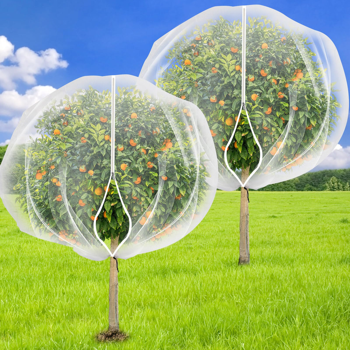 ZYP 2-pack fruit tree netting covers 7-8 ft, protecting trees.