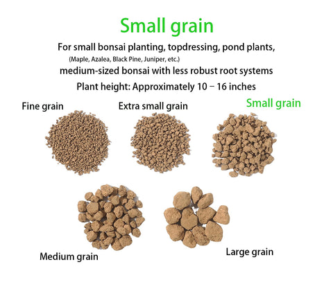 ZzbTwinkle Akadama soil with color-change guide helps prevent overwatering.