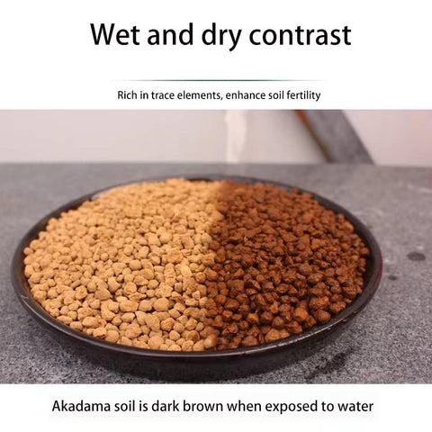 ZzbTwinkle Akadama provides reliable drainage layers and topsoil benefits.