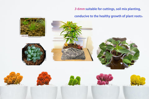 ZzbTwinkle bonsai, succulents, orchids thrive with this versatile substrate.