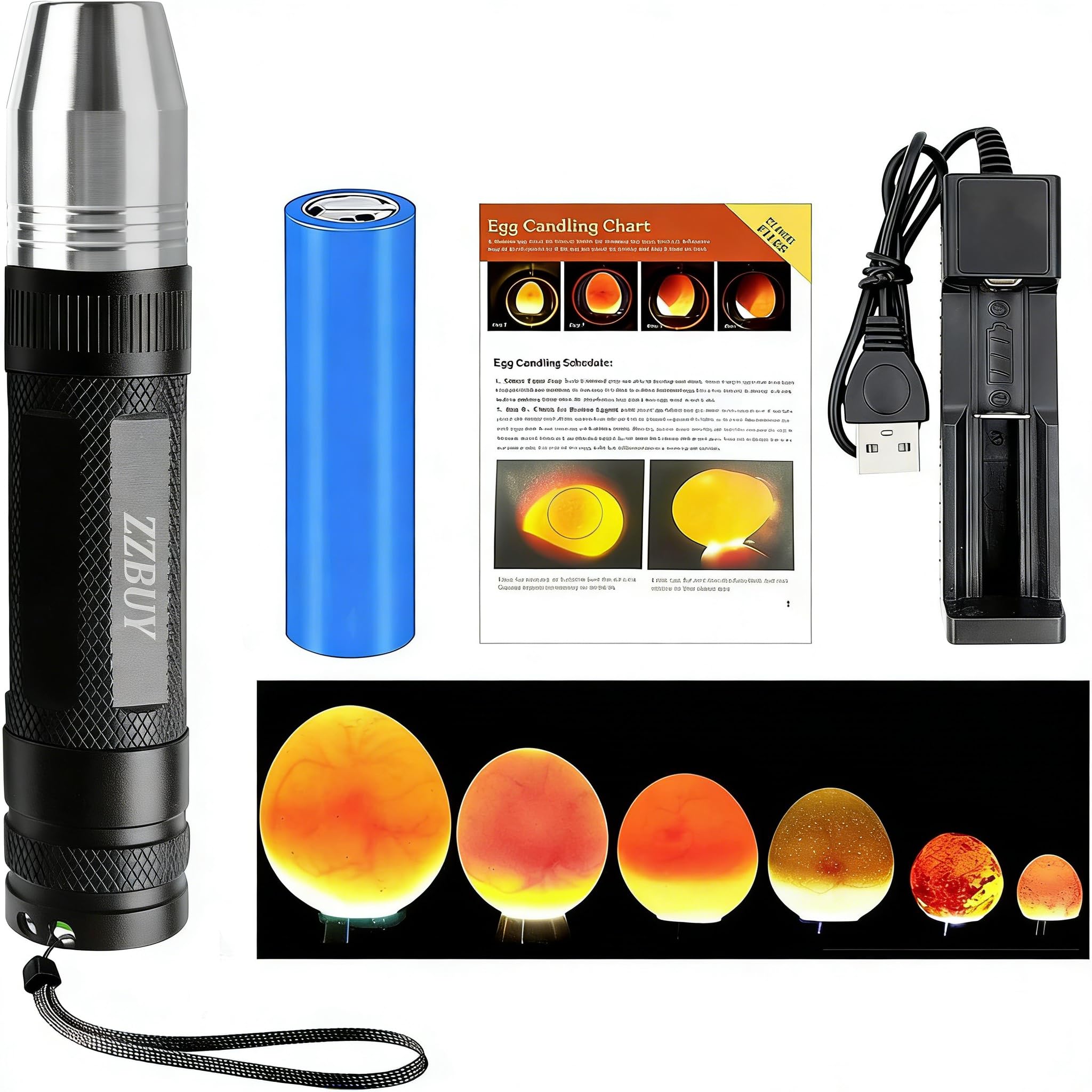 ZZBUY egg candler illuminator reveals fertilized eggs for clear observation.