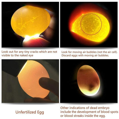 ZZBUY egg candler light includes a quick candling guide for reference.