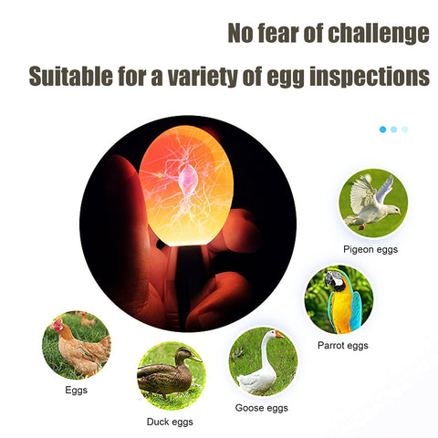 ZZBUY egg candler light waterproof seal supports outdoor or damp conditions.