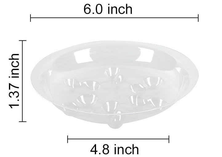 ZZPYXIA clear petal-bottom saucer catches drips while showcasing pots.