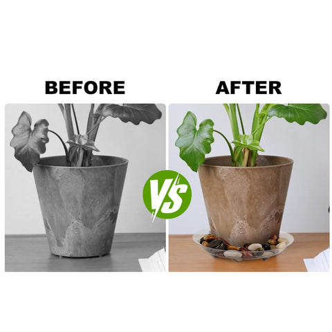 ZZPYXIA versatile plant saucer for various pots and spaces.