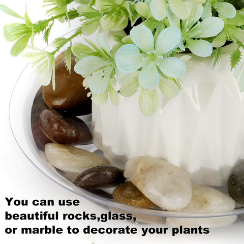 ZZPYXIA durable indoor-outdoor saucer for everyday use