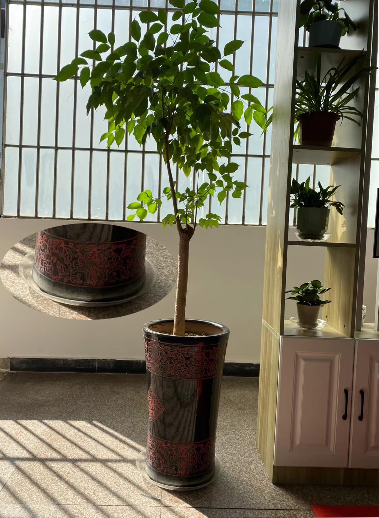 ZZPYXIA waterproof design catches excess water and soil spills.