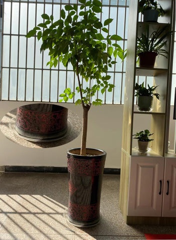 ZZPYXIA waterproof design catches excess water and soil spills.